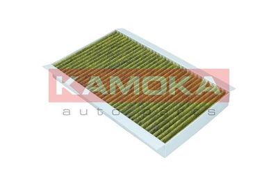 Filter, cabin air 6080094