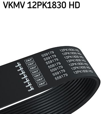SKF V formos rumbuoti diržai