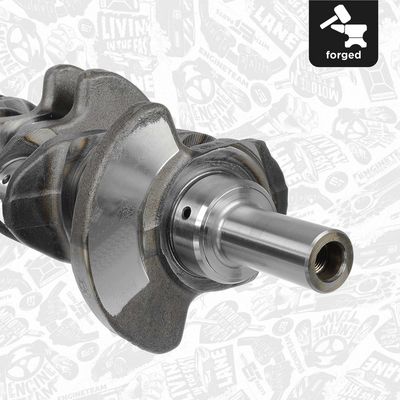 ARBORE COTIT ET ENGINETEAM HK0130 3