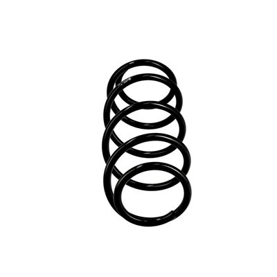 ARC SPIRAL EIBACH R10001 13