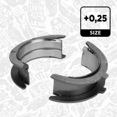 SET RULEMT ARBORE COTIT ET ENGINETEAM LH002225 3