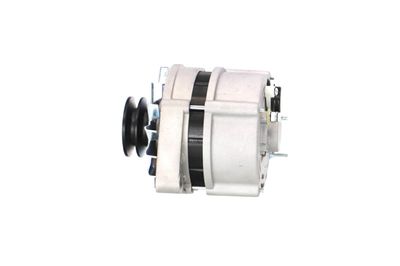 GENERATOR / ALTERNATOR REMANTE 011003000025R 18