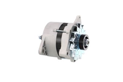 GENERATOR / ALTERNATOR REMANTE 011003000065R 51