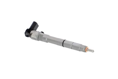 INJECTOR REMANTE 002003001399R 47