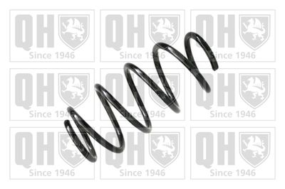 QUINTON HAZELL QCS7856 Пружина подвески  для VW POLO (Фольцваген Поло)