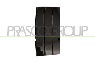 ZIER-/SCHUTZLEISTE TüR