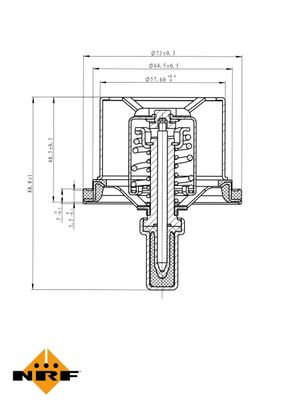 TERMOSTAT LICHID RACIRE NRF 725029 4