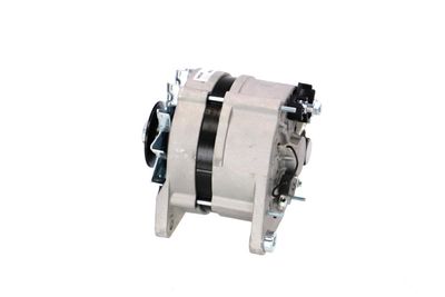 GENERATOR / ALTERNATOR REMANTE 011003000454R 20