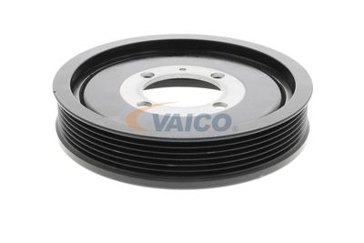 FULIE CUREA ARBORE COTIT VAICO V401178 24