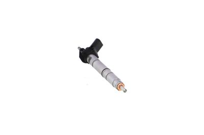 INJECTOR REMANTE 002003002365R 53