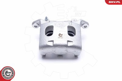 Brake Caliper 55SKV012