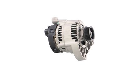 GENERATOR / ALTERNATOR REMANTE 011003000365R 49