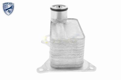 RADIATOR ULEI ULEI MOTOR VEMO V20600056 4