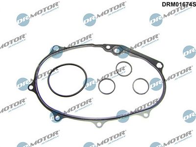 Těsnění, rozvodové ústrojí LIZARTE DRM01674S