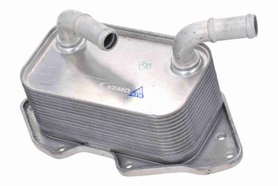 RADIATOR ULEI ULEI MOTOR VEMO V15606019 3
