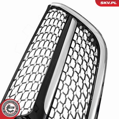 GRILA RADIATOR ESEN SKV 66SKV611 4