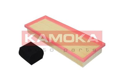 Air Filter F239701