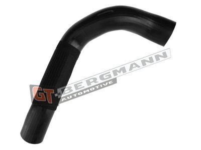 GT-BERGMANN Automotive Įsiurbimo vamzdis, oro filtras
