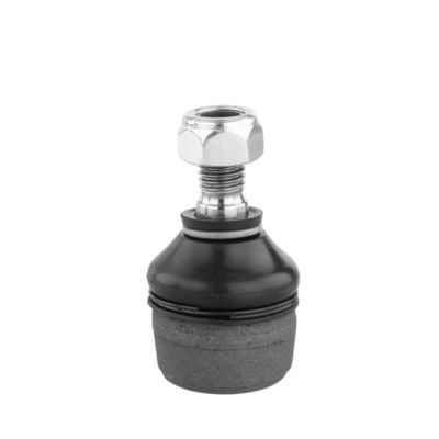 SPURSTANGENKOPF DELPHI TA1748 13