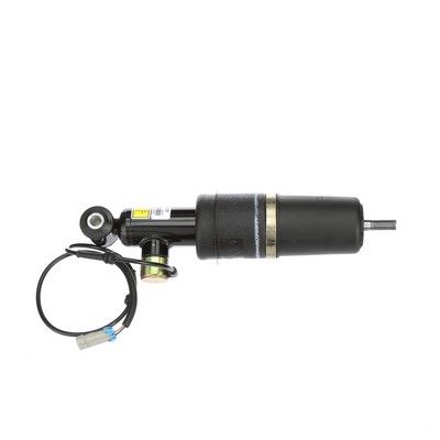 LUFTFEDERBEIN Arnott AS2177 66