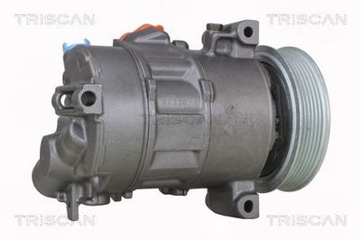 COMPRESOR CLIMATIZARE TRISCAN 902015010 5