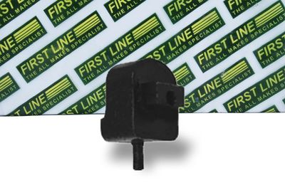 окачване, двигател FIRST LINE FEM3005