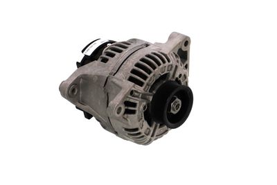 GENERATOR / ALTERNATOR REMANTE 011003000389R 49