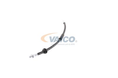 FURTUN FRANA VAICO V201908 26