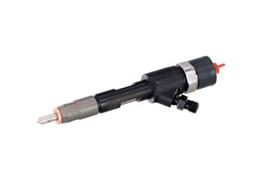 INJECTOR REMANTE 002003001168R 7