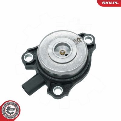 Zentralmagnet, Nockenwellenverstellung