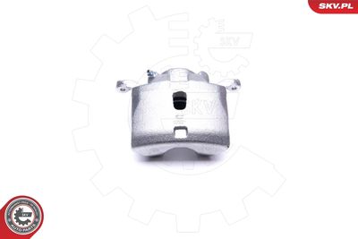 Brake Caliper 45SKV011