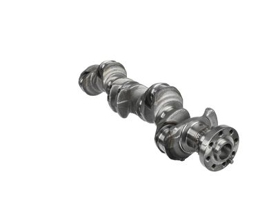 ARBORE COTIT ET ENGINETEAM HK0211 10