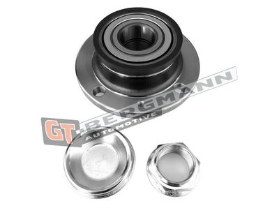 GT-BERGMANN Automotive Rato guolio komplektas