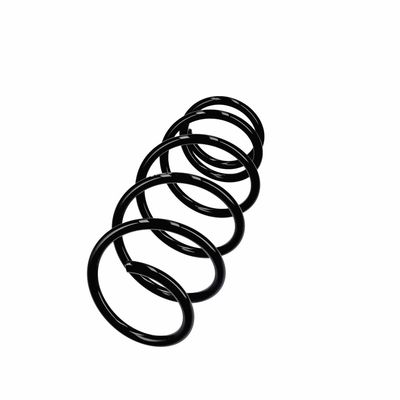 ARC SPIRAL EIBACH R11021 2