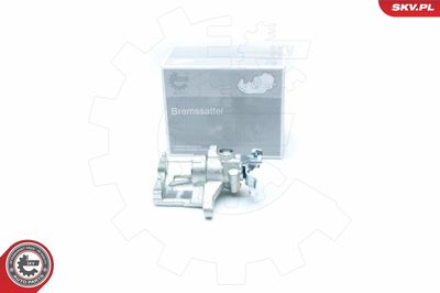 Brake Caliper 23SKV144