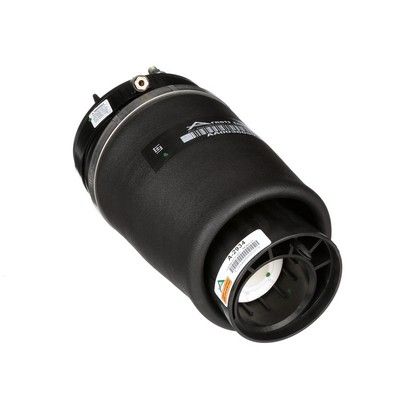 LUFTFEDER FAHRWERK Arnott A2934 32