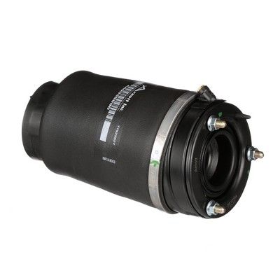 LUFTFEDER FAHRWERK Arnott A2934 42