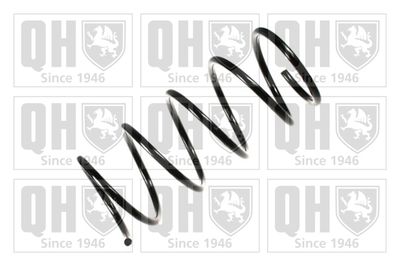 Пружина ходовой части QUINTON HAZELL QCS7248 для MITSUBISHI SPACE
