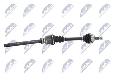 PLANETARA NTY NPWCT155 5