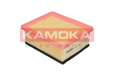 Air Filter F210201