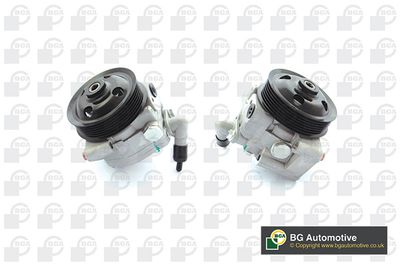 BGA Hydraulic Pump, steering PSP3304