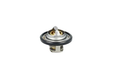 TERMOSTAT LICHID RACIRE NRF 725544 30