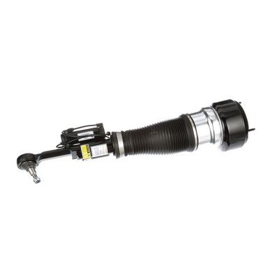 LUFTFEDERBEIN Arnott AS2548 42