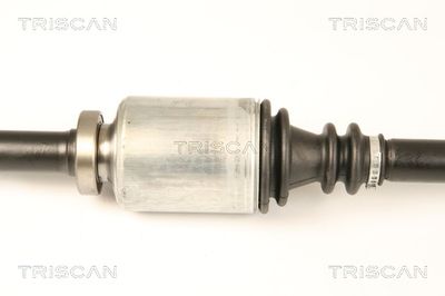 PLANETARA TRISCAN 854025661 2