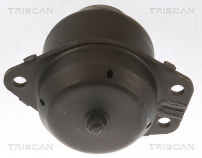 SUPORT MOTOR TRISCAN 850565103 1