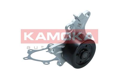 Water Pump, engine cooling T0302