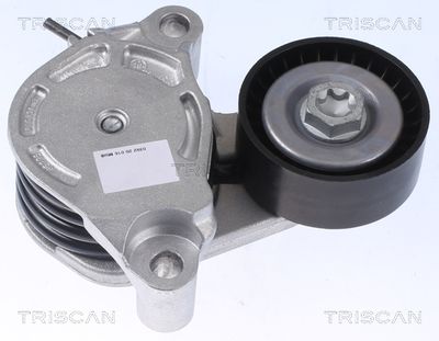 TRISCAN 8641 113041 Натяжитель ремня генератора  для BMW X1 (Бмв X1)
