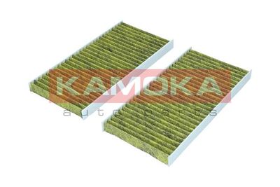 Filter, cabin air 6080139