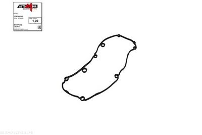 GARNITURA CAPAC SUPAPE