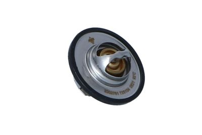 TERMOSTAT LICHID RACIRE NRF 725104 42